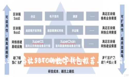 最适合存放SBTC的数字钱包推荐与使用指南