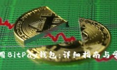 如何有效使用BitPay钱包：详细指南与常见问题解