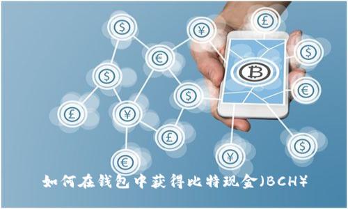 如何在钱包中获得比特现金（BCH）