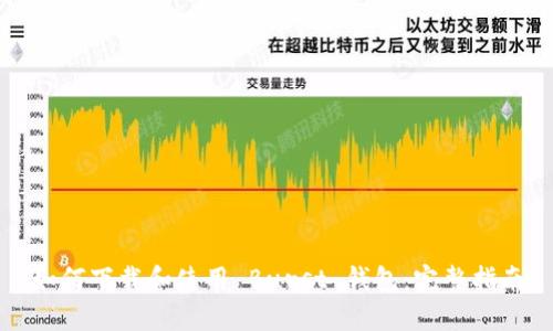 如何下载和使用 Burst 钱包：完整指南