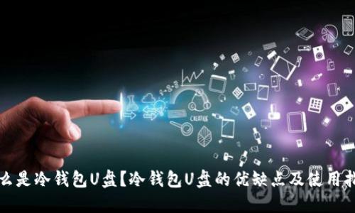 什么是冷钱包U盘？冷钱包U盘的优缺点及使用指南