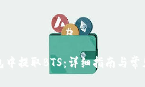 如何从钱包中提取BTS：详细指南与常见问题解答