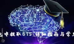 如何从钱包中提取BTS：详细指南与常见问题解答