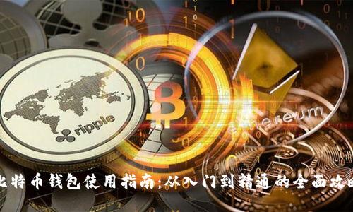 比特币钱包使用指南：从入门到精通的全面攻略