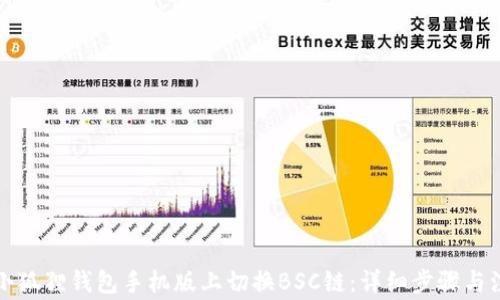 
如何在小狐狸钱包手机版上切换BSC链：详细步骤与注意事项