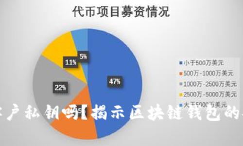 钱包会复制客户私钥吗？揭示区块链钱包的安全性与风险