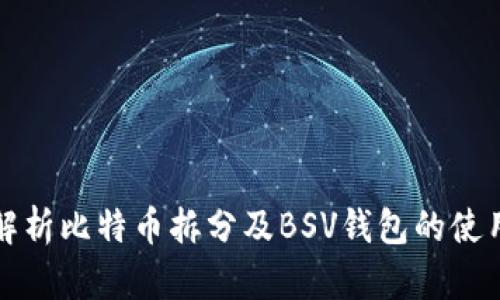 全面解析比特币拆分及BSV钱包的使用指南