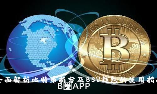 全面解析比特币拆分及BSV钱包的使用指南