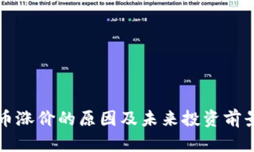 五行币涨价的原因及未来投资前景分析