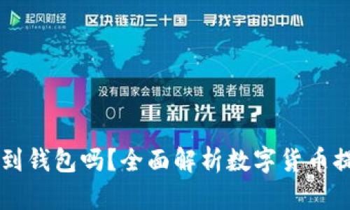 任何币都可以提到钱包吗？全面解析数字货币提币和钱包的关系