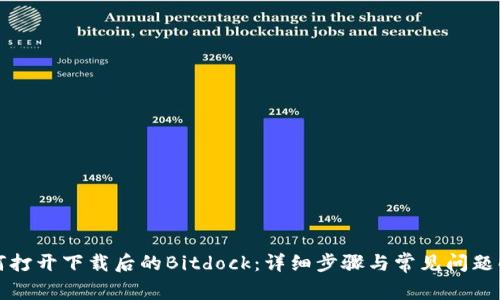 如何打开下载后的Bitdock：详细步骤与常见问题解答