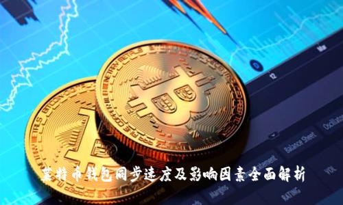 莱特币钱包同步速度及影响因素全面解析