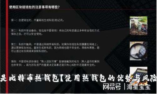 什么是比特币热钱包？使用热钱包的优势与风险解析