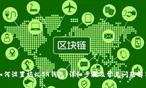 如何设置蚂蚁S9钱包：详细步骤及常见问题解答