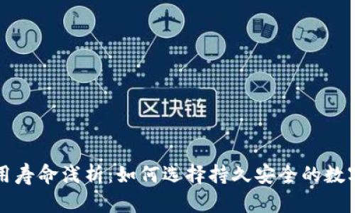 十大冷钱包使用寿命浅析：如何选择持久安全的数字资产存储方式
