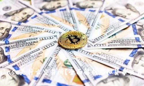 Coinbase是什么交易所？全面解析虚拟货币交易平台