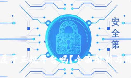 冷钱包属于正规平台吗？全面解析与用户指南