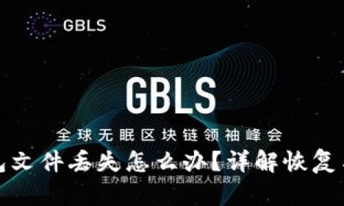 以太坊钱包文件丢失怎么办？详解恢复与预防措施