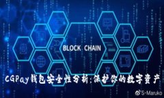 CGPay钱包安全性分析：保护