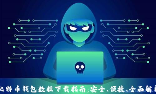 
比特币钱包数据下载指南：安全、便捷、全面解析