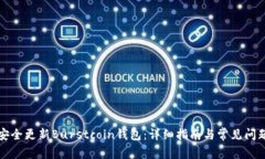 如何安全更新Burstcoin钱包：详细指南与常见问题