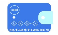 如何将冷钱包中的数字货