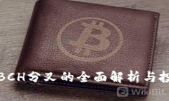 冷钱包BCH分叉的全面解析