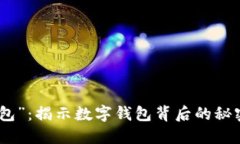 探索“谁的钱包”：揭示