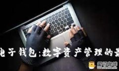 区块链电子钱包：数字资