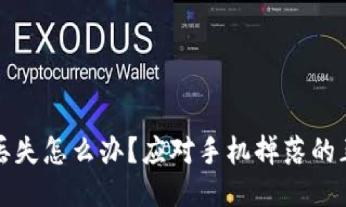 冷钱包丢失怎么办？应对手机掉落的正确方法