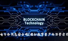 电子冷钱包安全吗？揭秘